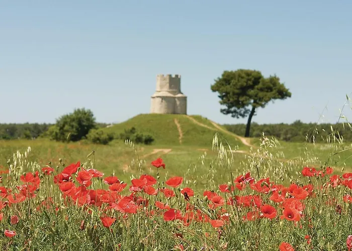 Mlasina-4 By Interhome Διαμέρισμα *